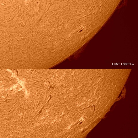 太陽活動領域#13245 2023/03/15