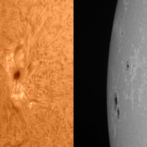 太陽活動領域#13256 2023/03/19