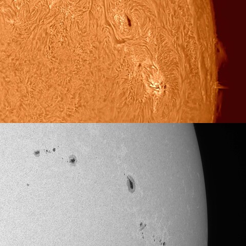 太陽活動領域#13263 2023/03/29