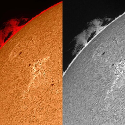 太陽活動領域#13311&#13313 2023/05/21