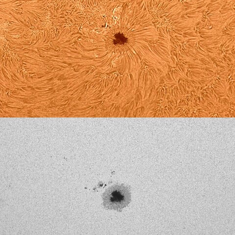 太陽活動領域#13310 2023/05/24
