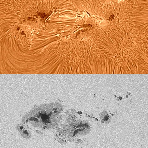 太陽活動領域#13354 2023/06/29