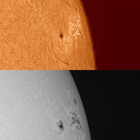 太陽活動領域13354 2023/07/04