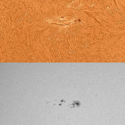 太陽活動領域13361 2023/07/07