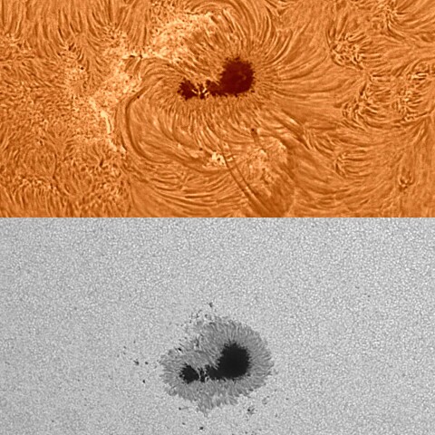 太陽活動領域13363 2023/07/11
