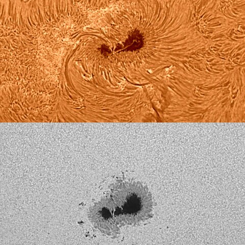 太陽活動領域13363 2023/07/12
