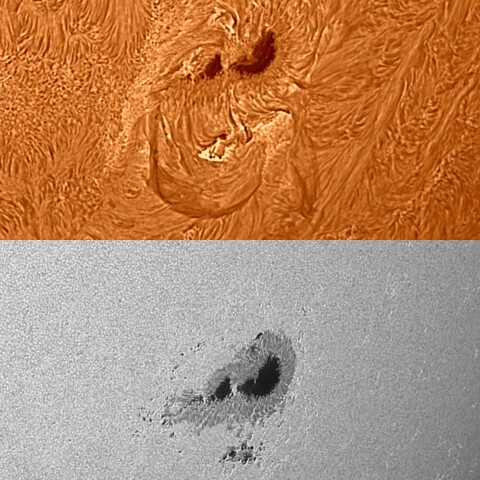 太陽活動領域13363 2023/07/16