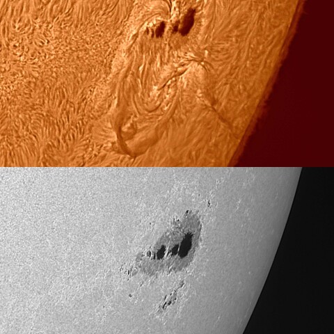 太陽活動領域13363 2023/07/17