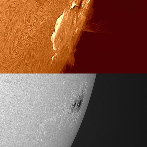 太陽活動領域13363 2023/07/18