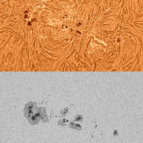 太陽活動領域13373 2023/07/20