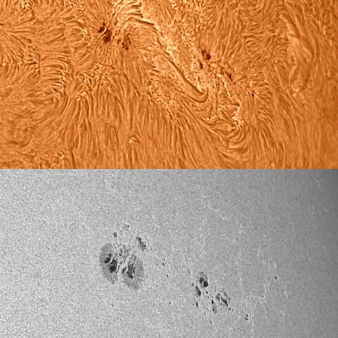 太陽活動領域13373 2023/07/24