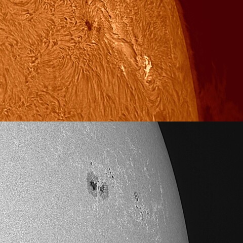 太陽活動領域13373 2023/07/25