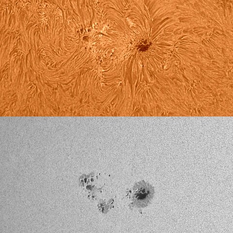 太陽活動領域13386 2023/07/29