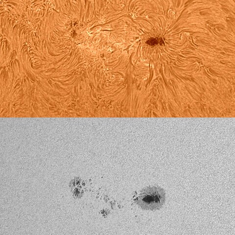 太陽活動領域13386 2023/07/30