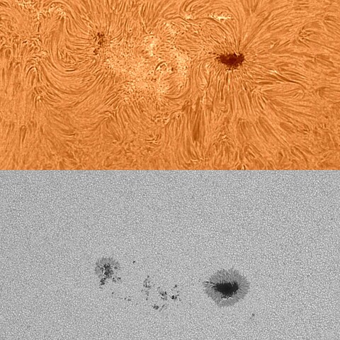 太陽活動領域13386 2023/07/31