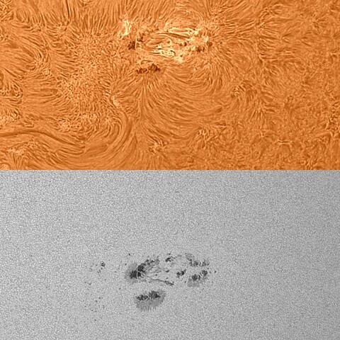 太陽活動領域13380 2023/07/31