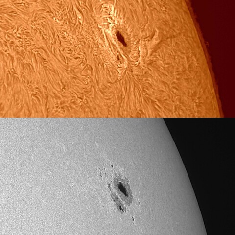 太陽活動領域13386 2023/08/05