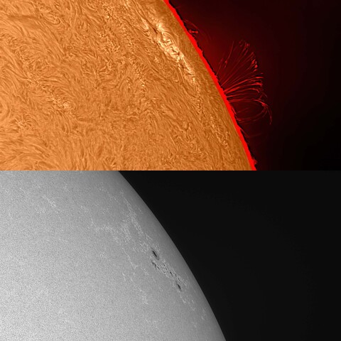 太陽活動領域13387 2023/08/08