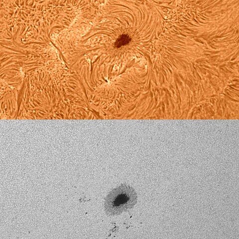 太陽活動領域13394 2023/08/10