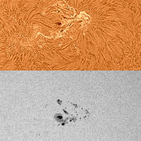 太陽活動領域13395 2023/08/11