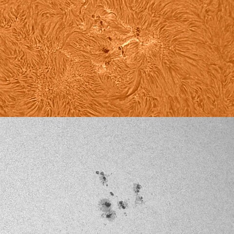 太陽活動領域13395 2023/08/12