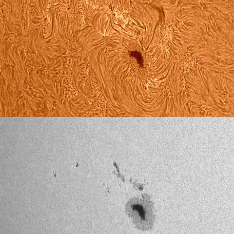 太陽活動領域13413 2023/08/24