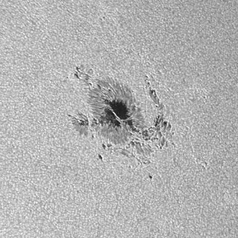 太陽黒点 2023/08/31