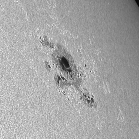 太陽黒点 2023/09/01