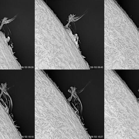 太陽フレアによるプロミネンス 2023/09/03