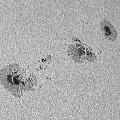 太陽黒点 2023/09/13