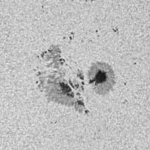 太陽黒点 2023/09/25