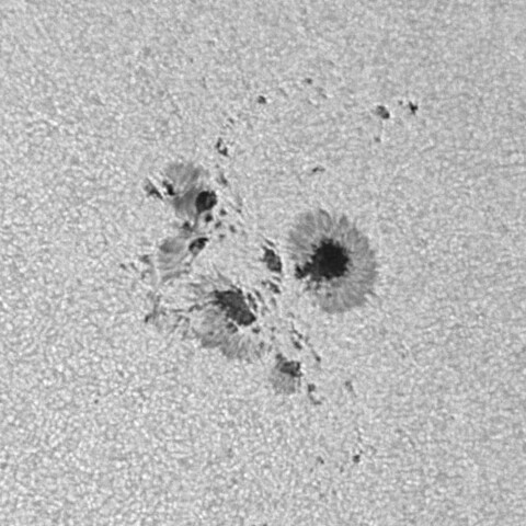 太陽黒点 2023/09/26