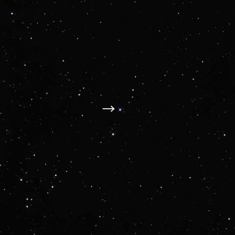変光星(激変星)　SS CYG 