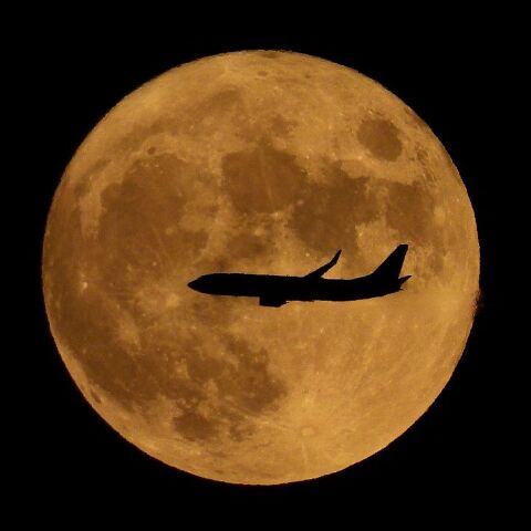 中秋の名月と飛行機