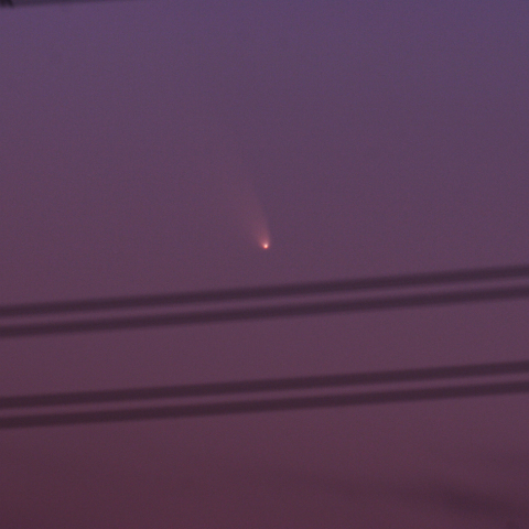 しっぽつかまえた