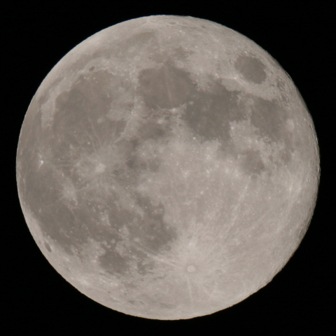 中秋の名月の次の日