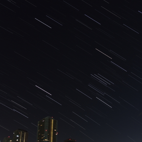 隅田川と西に傾いた冬の星座たち