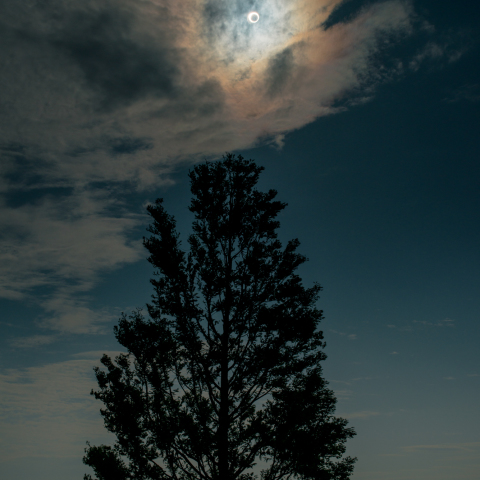 君に捧げる太陽のリング