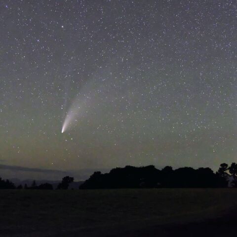 牧草地に浮かぶネオワイズ彗星