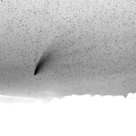 複数に分かれたネオワイズ彗星の尾?