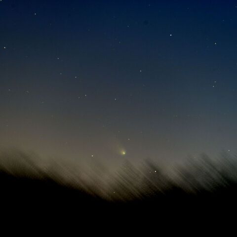 黄昏のレナード彗星