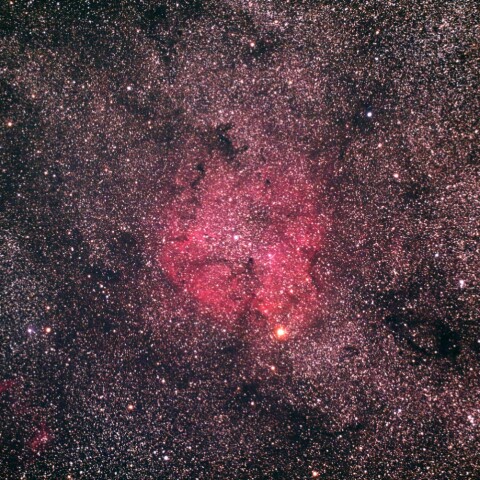 IC1396