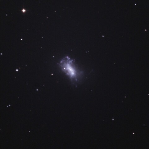 NGC4449