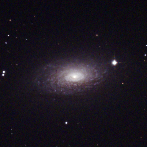 M63 ひまわり銀河