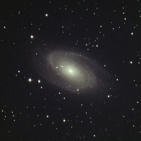 M81