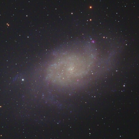M33