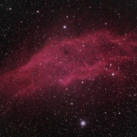 NGC1499_カリフォルニア星雲(再処理)