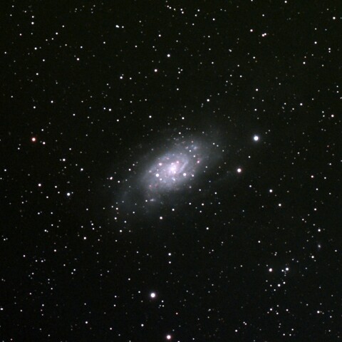 NGC2403