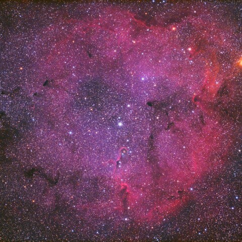 IC1396