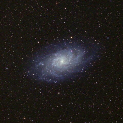 M33